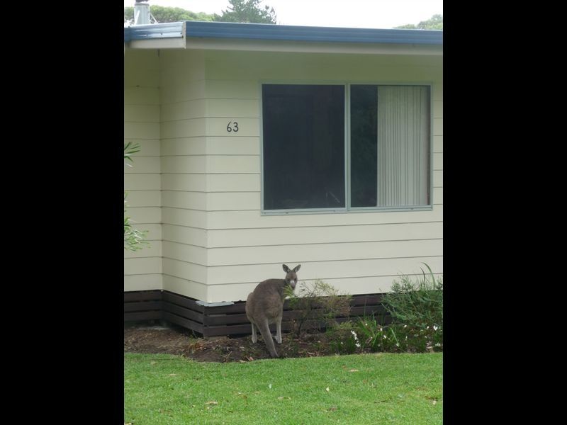 63 Berrara Road, Berrara NSW 2540