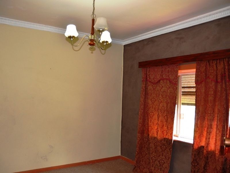 4 Octavia Street, Toongabbie NSW 2146