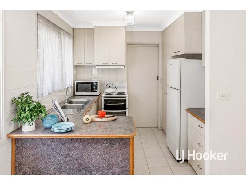 18 Vianney Crescent, Toongabbie NSW 2146