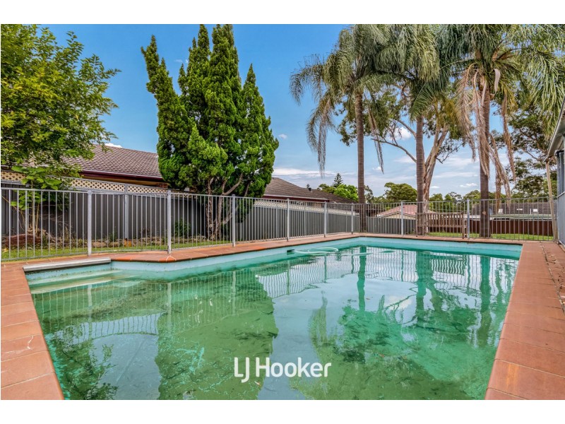 86 Ballandella Road, Toongabbie NSW 2146