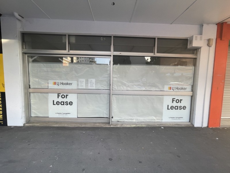 48 Aurelia Street, Toongabbie NSW 2146