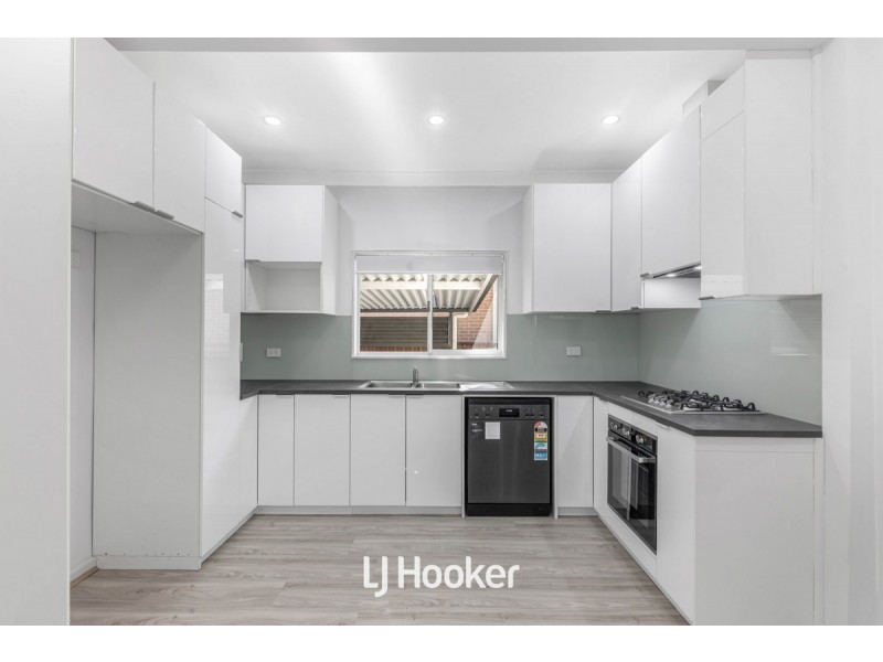 3 Melody Street, Toongabbie NSW 2146