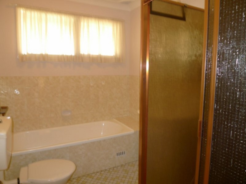 6 Greenmeadows Crescent, Toongabbie NSW 2146