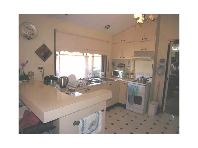 77 Rausch Street, Toongabbie NSW 2146