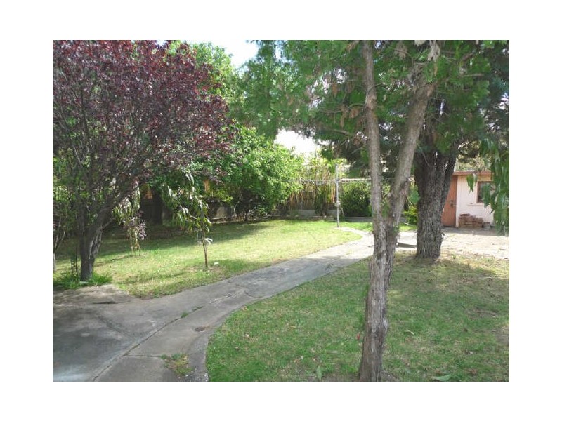 149 Cornelia Road, Toongabbie NSW 2146