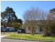 19 Octavia Street, Toongabbie NSW 2146