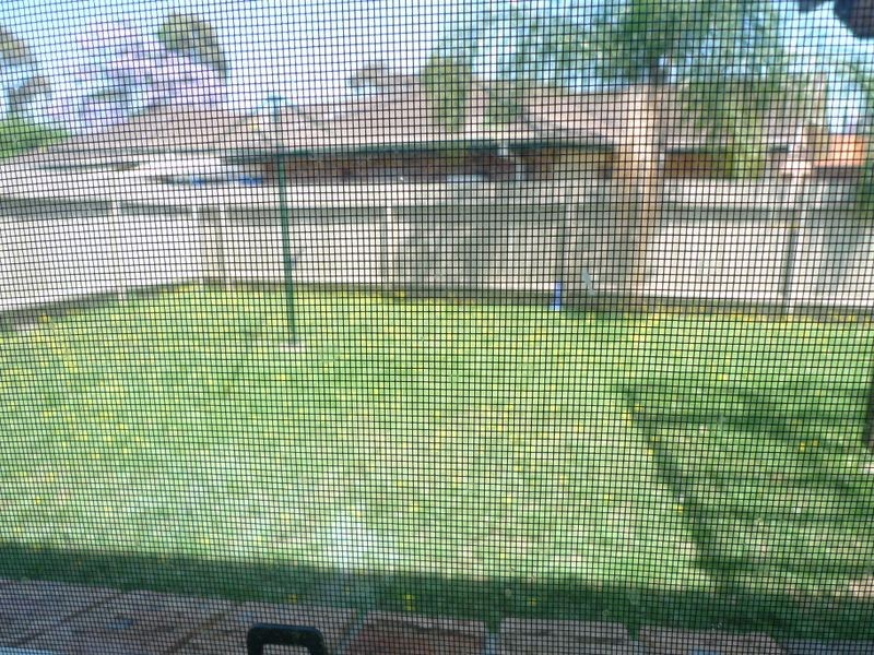 19 Coolabah Place, Blacktown NSW 2148