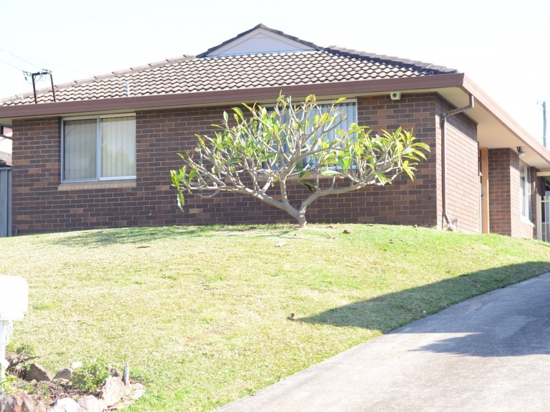 159 Metella Road, Toongabbie NSW 2146