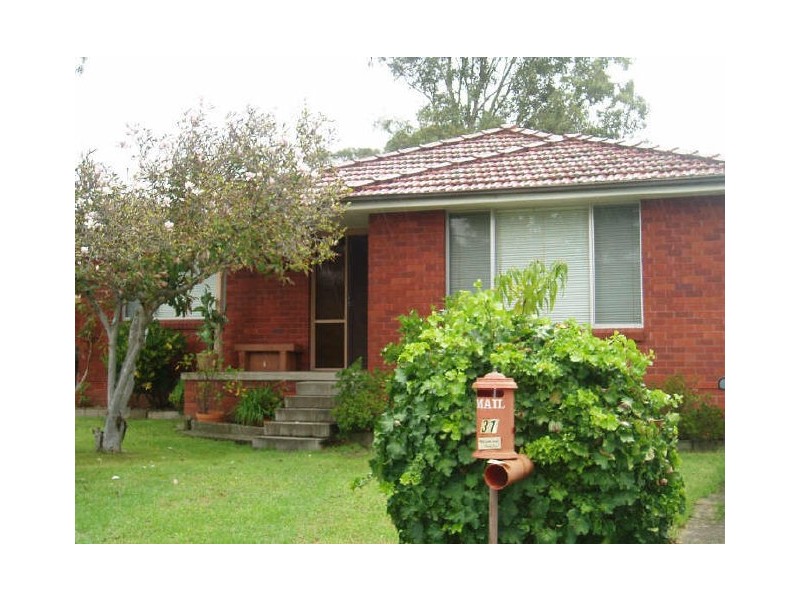 31 Fearn Street, Toongabbie NSW 2146