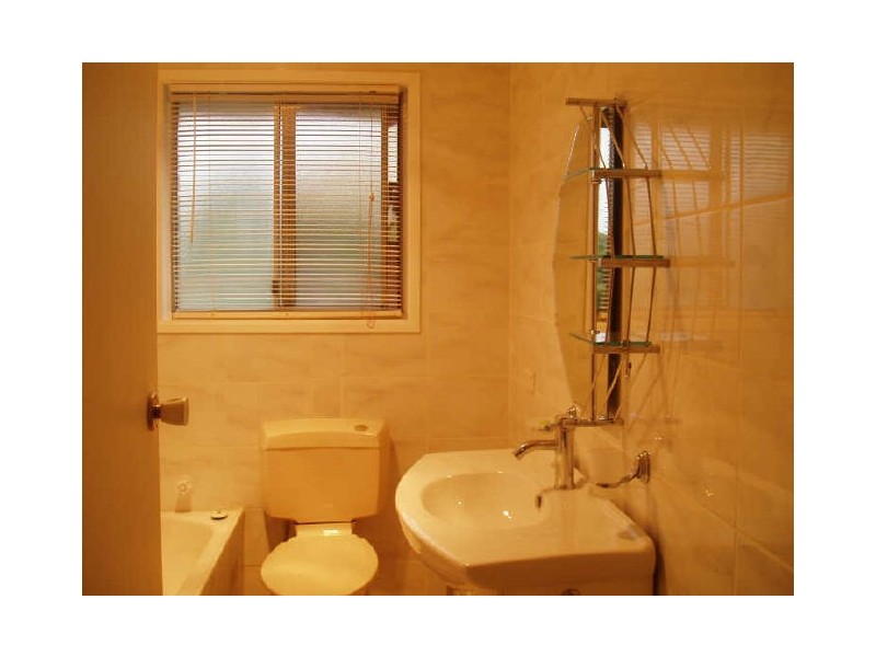 31 Fearn Street, Toongabbie NSW 2146