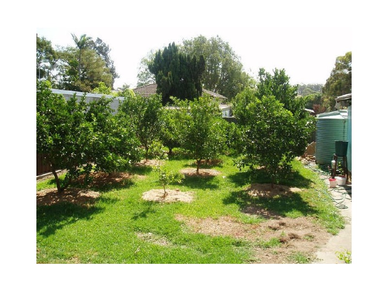 193 Toongabbie Road, Toongabbie NSW 2146