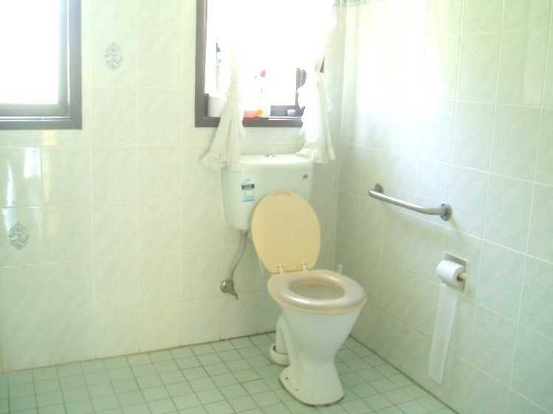 36 Orleans Crescent, Toongabbie NSW 2146