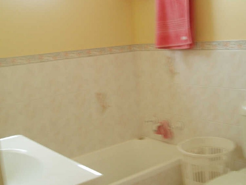 8 Derbyshire Avenue, Toongabbie NSW 2146