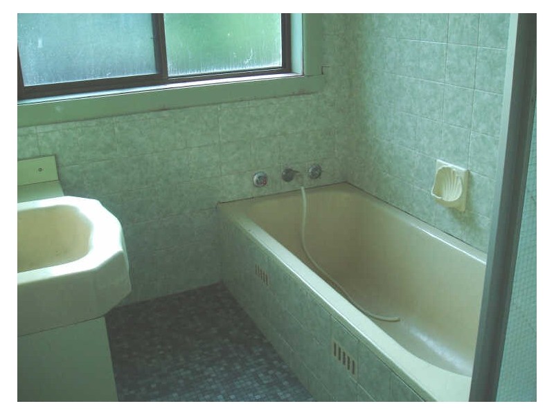 20 Marcia Street, Toongabbie NSW 2146