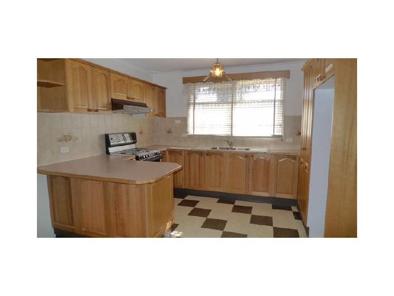 29 Rausch Street, Toongabbie NSW 2146