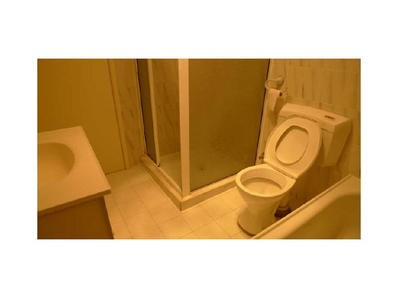 29 Rausch Street, Toongabbie NSW 2146