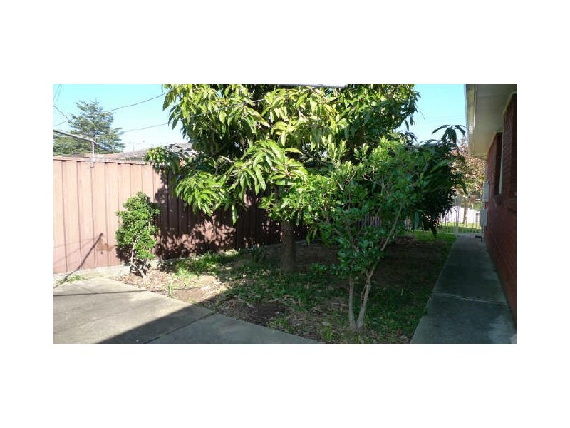 29 Rausch Street, Toongabbie NSW 2146