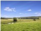 273 Wilfords Lane, Milton NSW 2538