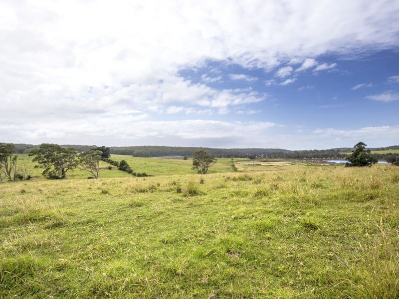 273 Wilfords Lane, Milton NSW 2538