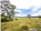 273 Wilfords Lane, Milton NSW 2538