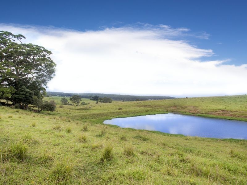 273 Wilfords Lane, Milton NSW 2538