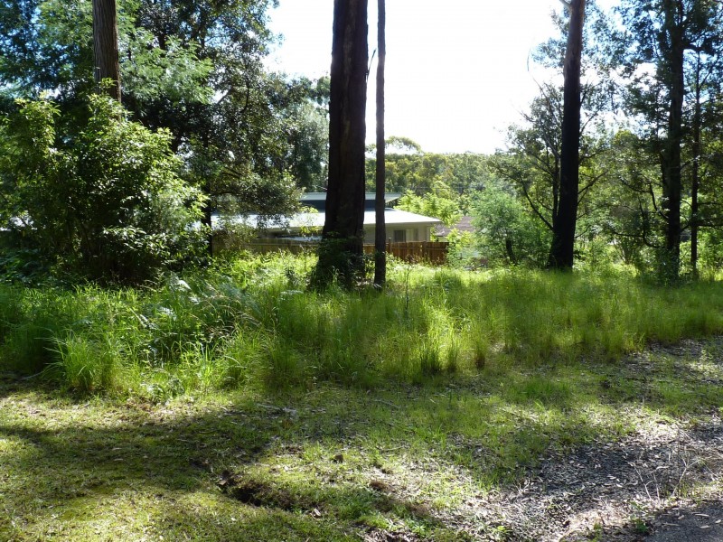 20 Esme Street, Conjola Park NSW 2539