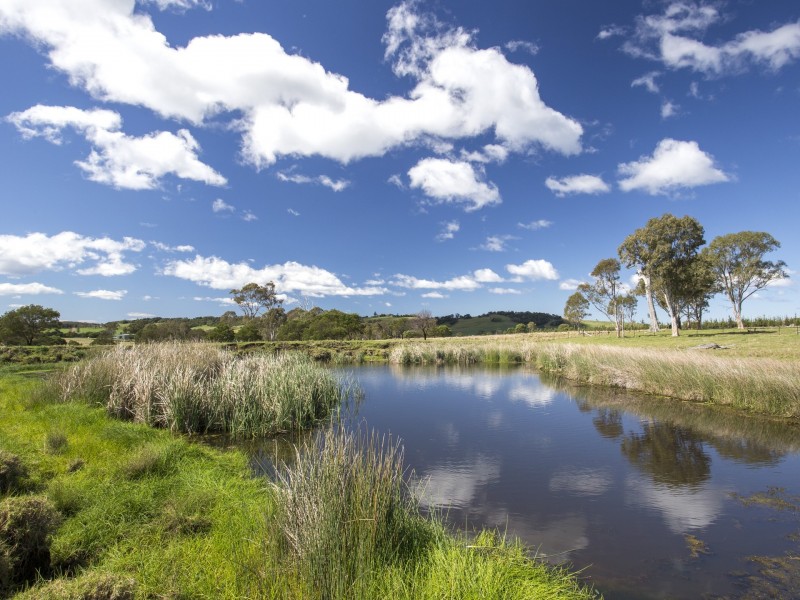 143 Little Forest Road LITTLE FOREST, Milton NSW 2538