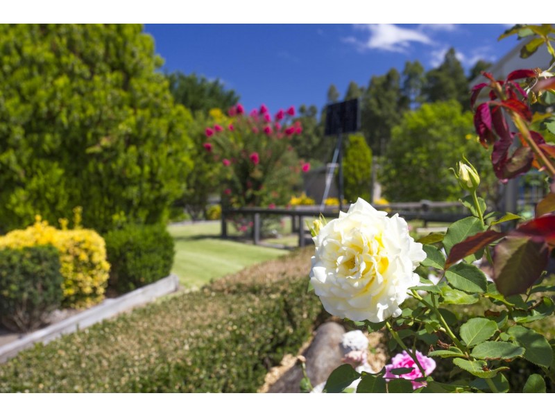 111 Evans Lane, Milton NSW 2538