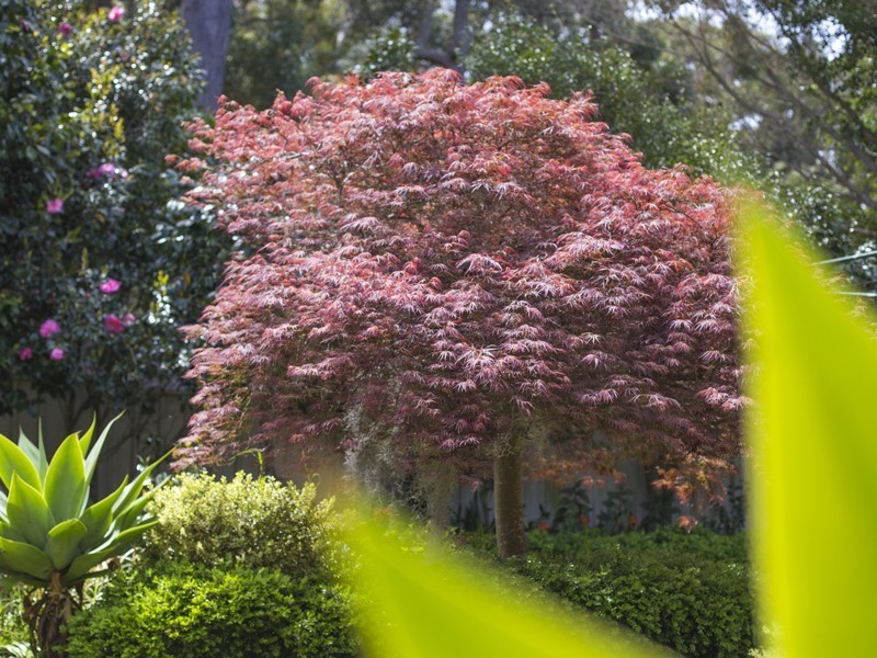13 Cassia Place, Ulladulla NSW 2539