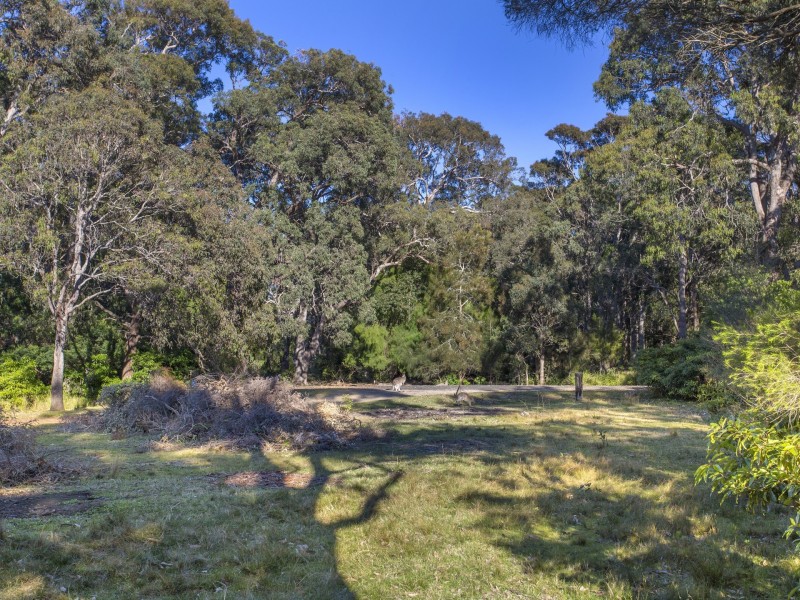 636 Murramarang Road, Kioloa NSW 2539