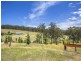 279E Kingiman Road, Milton NSW 2538