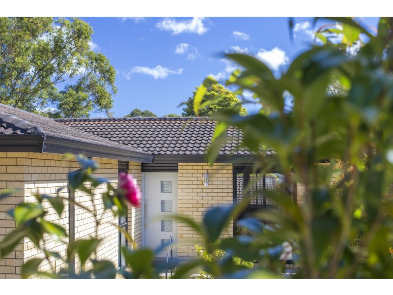 165 Matron Porter Drive, Narrawallee NSW 2539