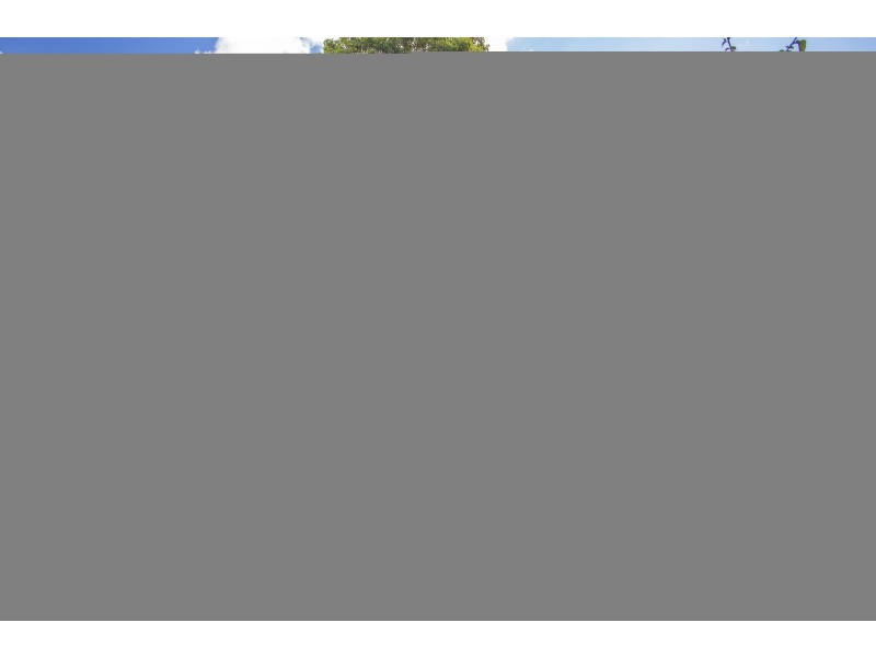 165 Matron Porter Drive, Narrawallee NSW 2539