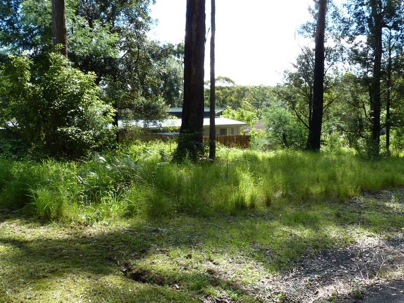 20 Esme Street, Conjola Park NSW 2539