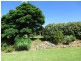 Milton NSW 2538