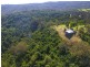 663H Little Forest Road, Milton NSW 2538