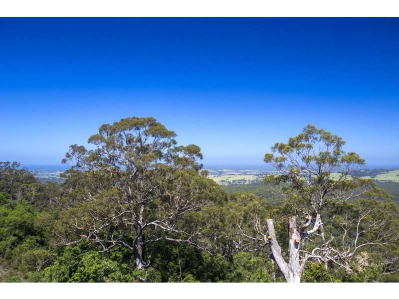 663H Little Forest Road, Milton NSW 2538