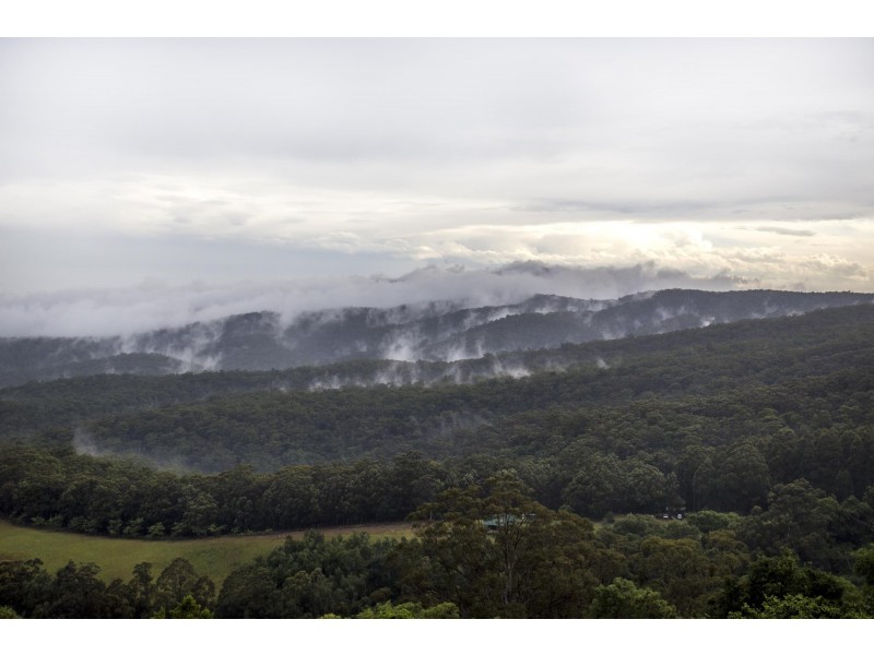 663H Little Forest Road, Milton NSW 2538