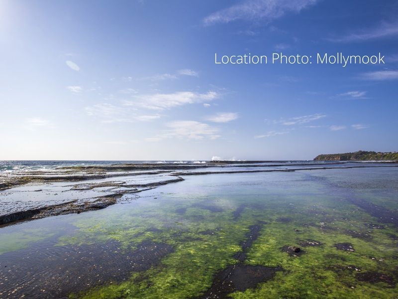10/28 Buchan Street, Mollymook NSW 2539