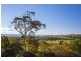 16 Hobbs Lane, Milton NSW 2538