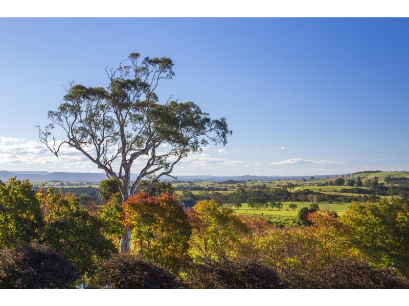16 Hobbs Lane, Milton NSW 2538