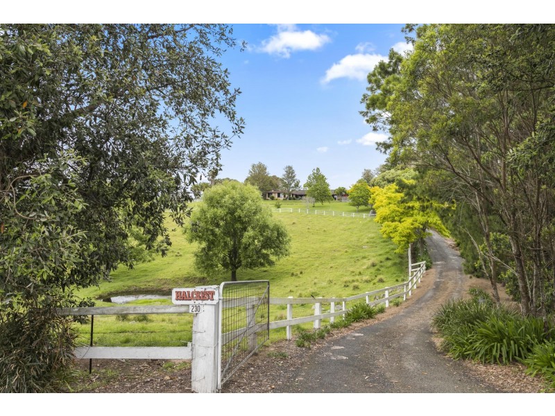 230 Wilfords Lane, Milton NSW 2538