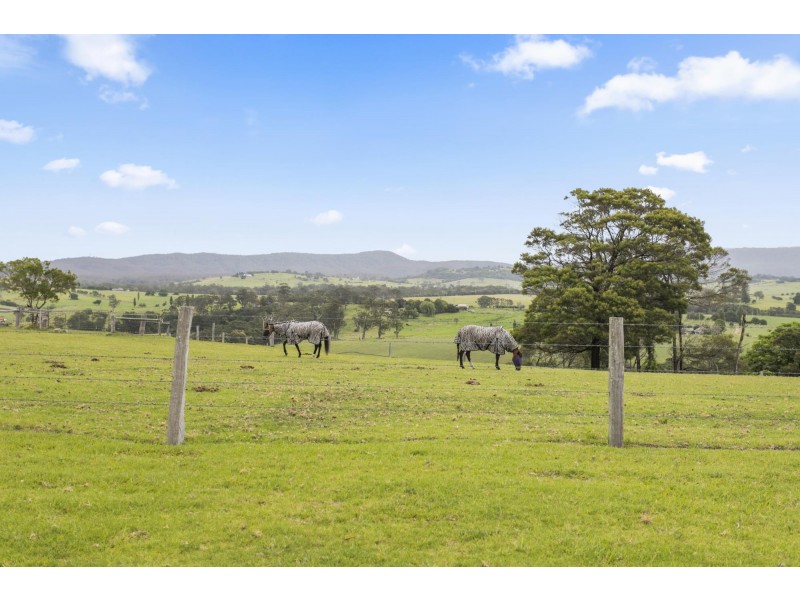 230 Wilfords Lane, Milton NSW 2538