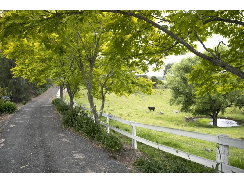 230 Wilfords Lane, Milton NSW 2538