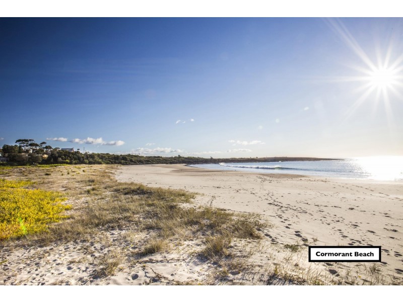 12 Lurnea Avenue, Bawley Point NSW 2539