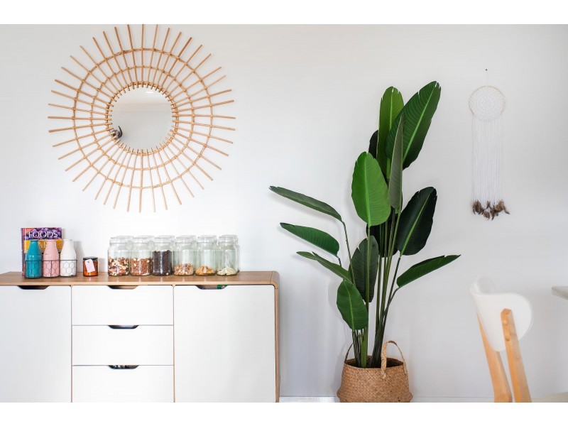 12 Macquarie Drive, Burrill Lake NSW 2539