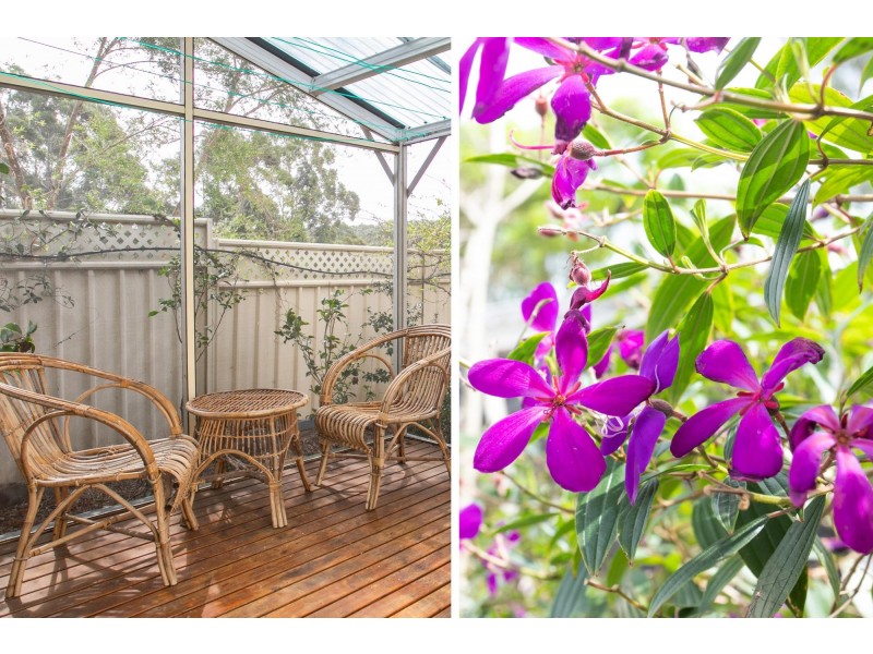 8 Everett Court, Mollymook Beach NSW 2539