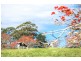 140 Wilfords Lane, Milton NSW 2538