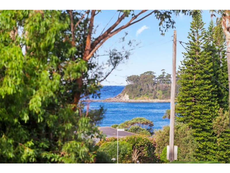 105 Matron Porter Drive, Narrawallee NSW 2539