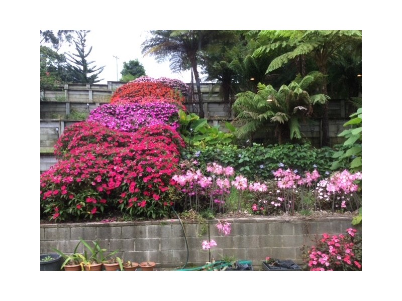 47 Tuckerman Road, Ulladulla NSW 2539